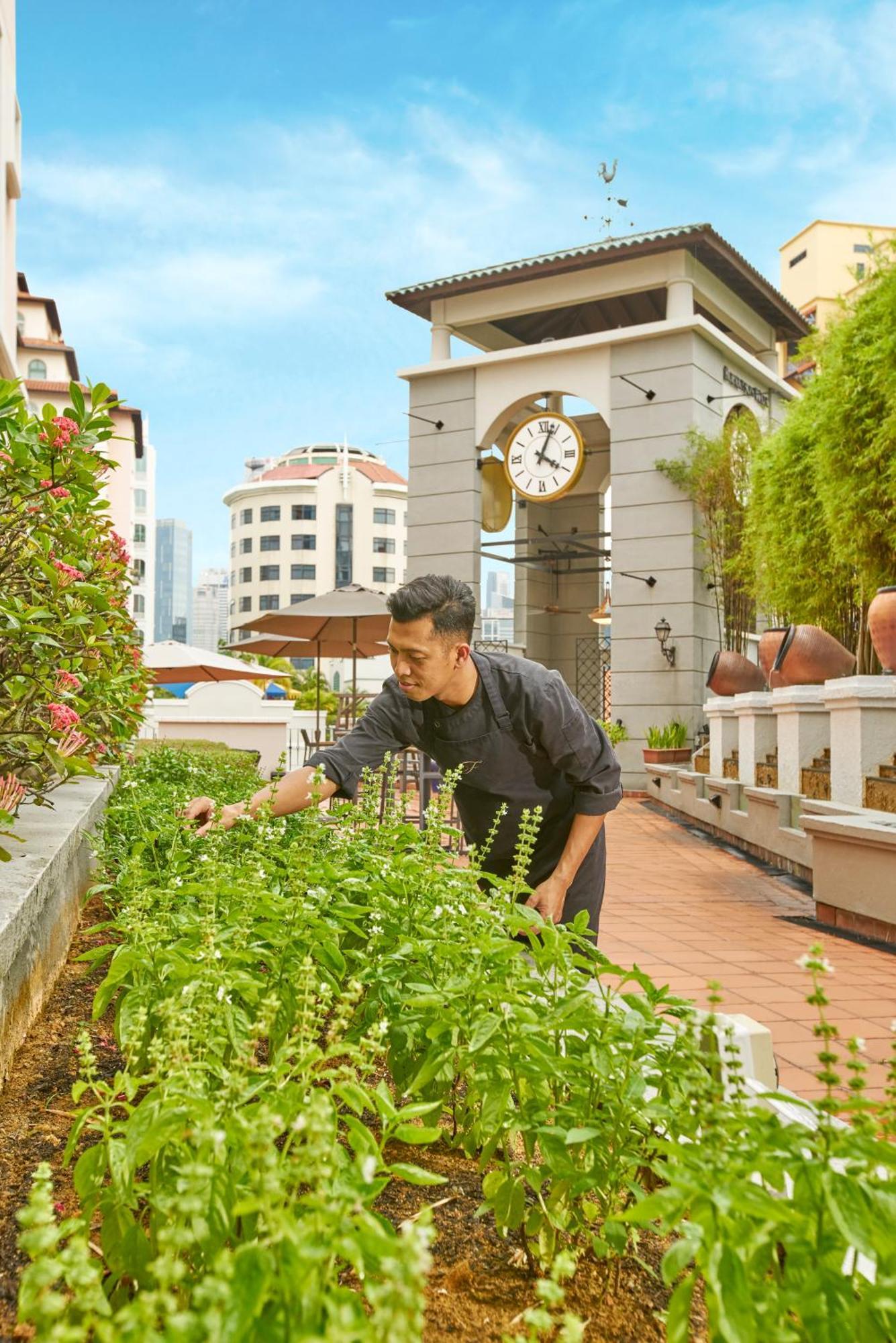 싱가포르 프레이저 플레이스 로버슨 워크 아파트 호텔 외부 사진 Chef at work at the hotel's rooftop garden